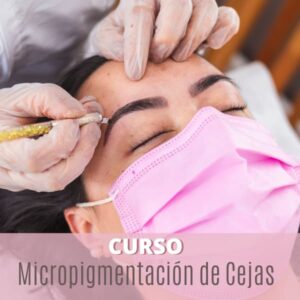 taller micropigmentación de cejas nivel i